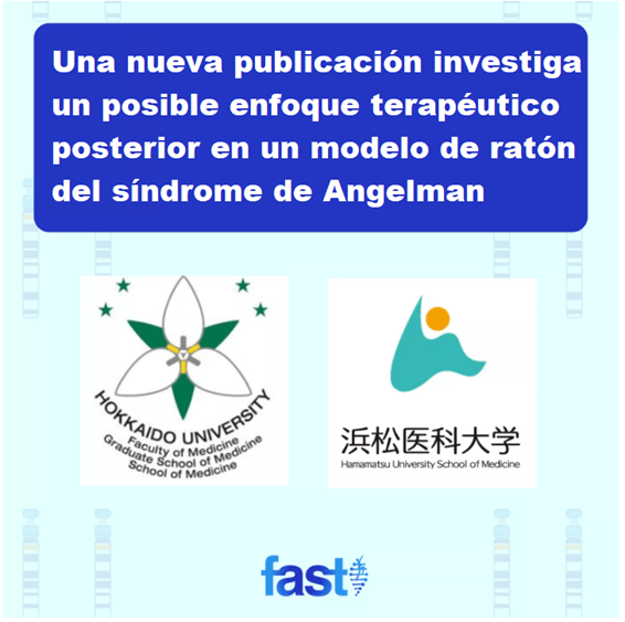 Una nueva publicación investiga un posible enfoque terapéutico posterior en un modelo de ratón del síndrome de Angelman